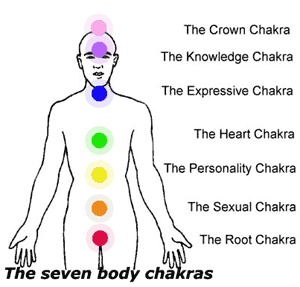 chakars body