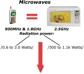 cellular phone and microwaves oven